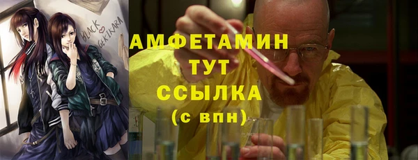 PSILOCYBIN Алзамай