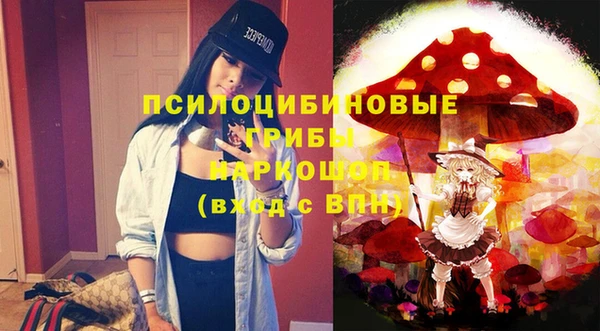прущая мука Абаза