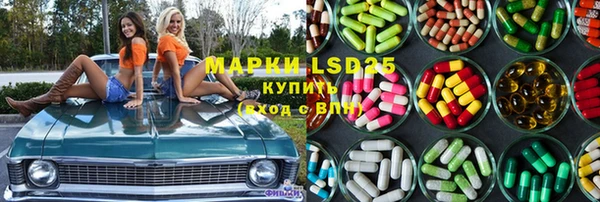 ПСИЛОЦИБИНОВЫЕ ГРИБЫ Бутурлиновка